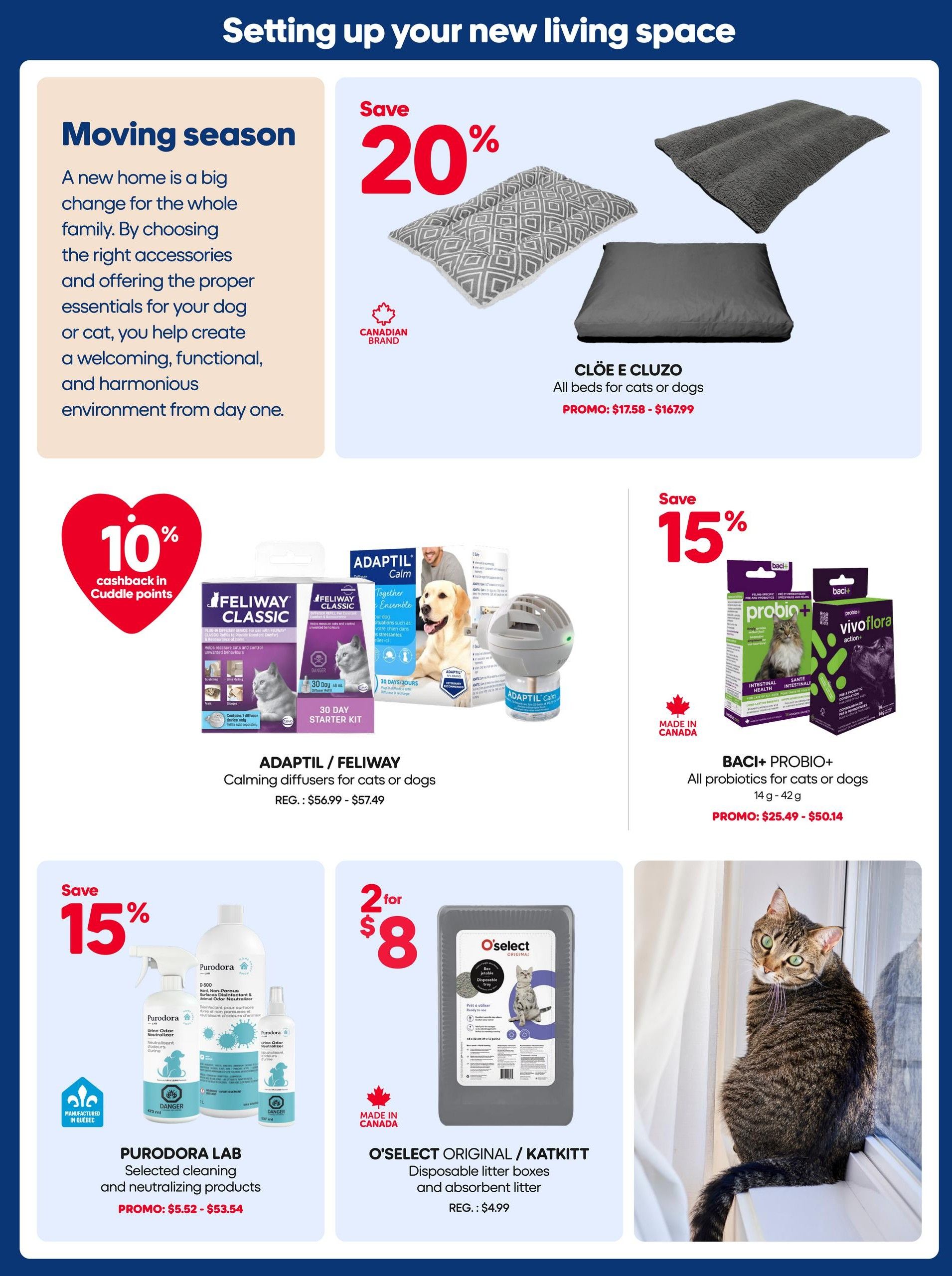 Mondou Flyer July 2 to 15