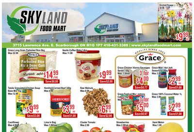 Skyland Food Mart Flyer July 3 to 9