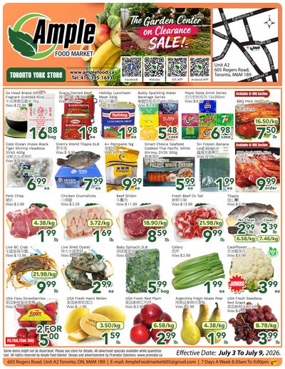 Ample Food Market (North York) Flyer July 3 to 9