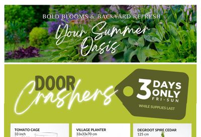 Lakeside Garden Gallery Flyer July 3 to 9