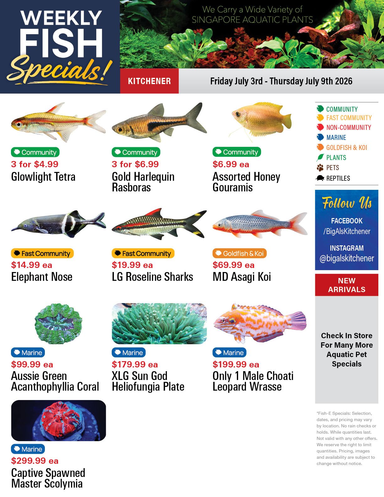 Big Al's (Kitchener) Weekly Specials July 3 to 9
