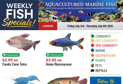 Big Al's (London) Weekly Specials July 3 to 9