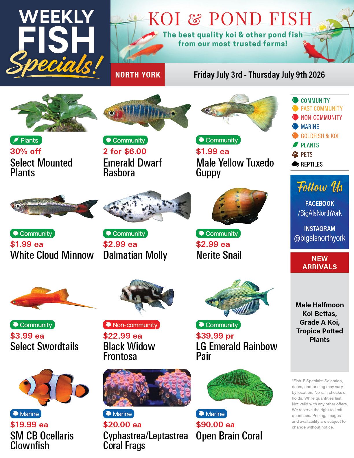 Big Al's (North York) Weekly Specials July 3 to 9
