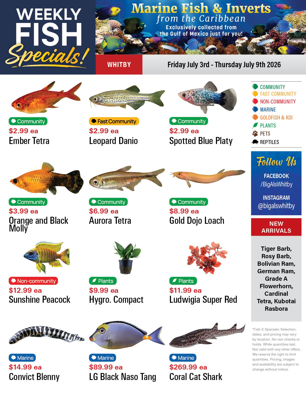Big Al's (Whitby) Weekly Specials July 3 to 9