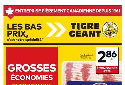 Tigre Géant Flyer July 8 to 14