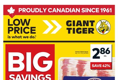 Giant Tiger (ON) Flyer July 8 to 14