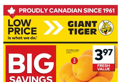 Giant Tiger (Atlantic) Flyer July 8 to 14
