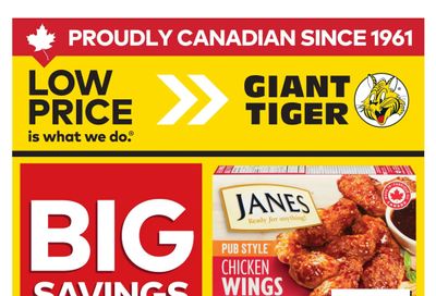 Giant Tiger (West) Flyer July 8 to 14
