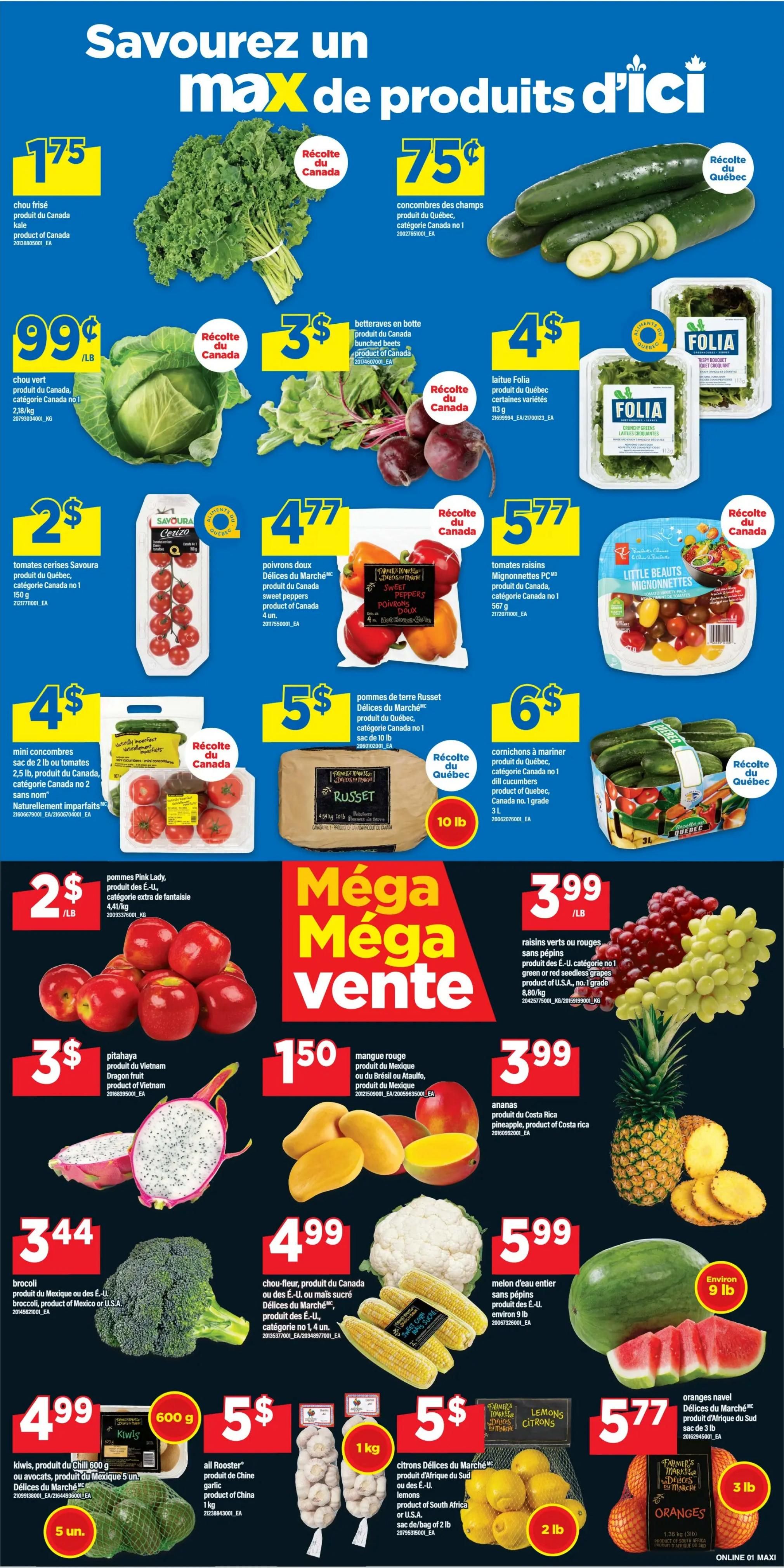 Maxi Flyer July 9 to 15