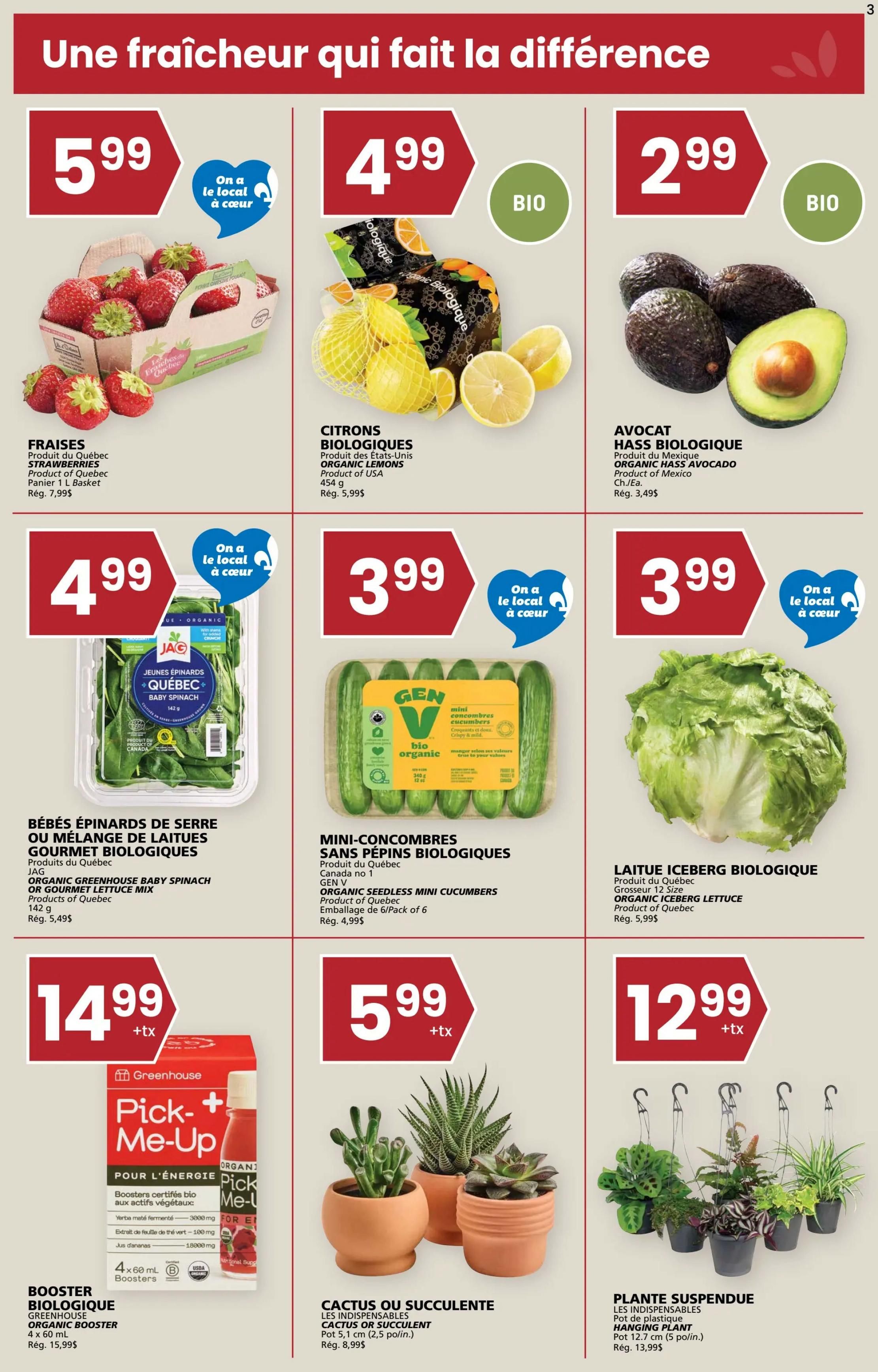 Rachelle Bery Grocery Flyer July 9 to 15