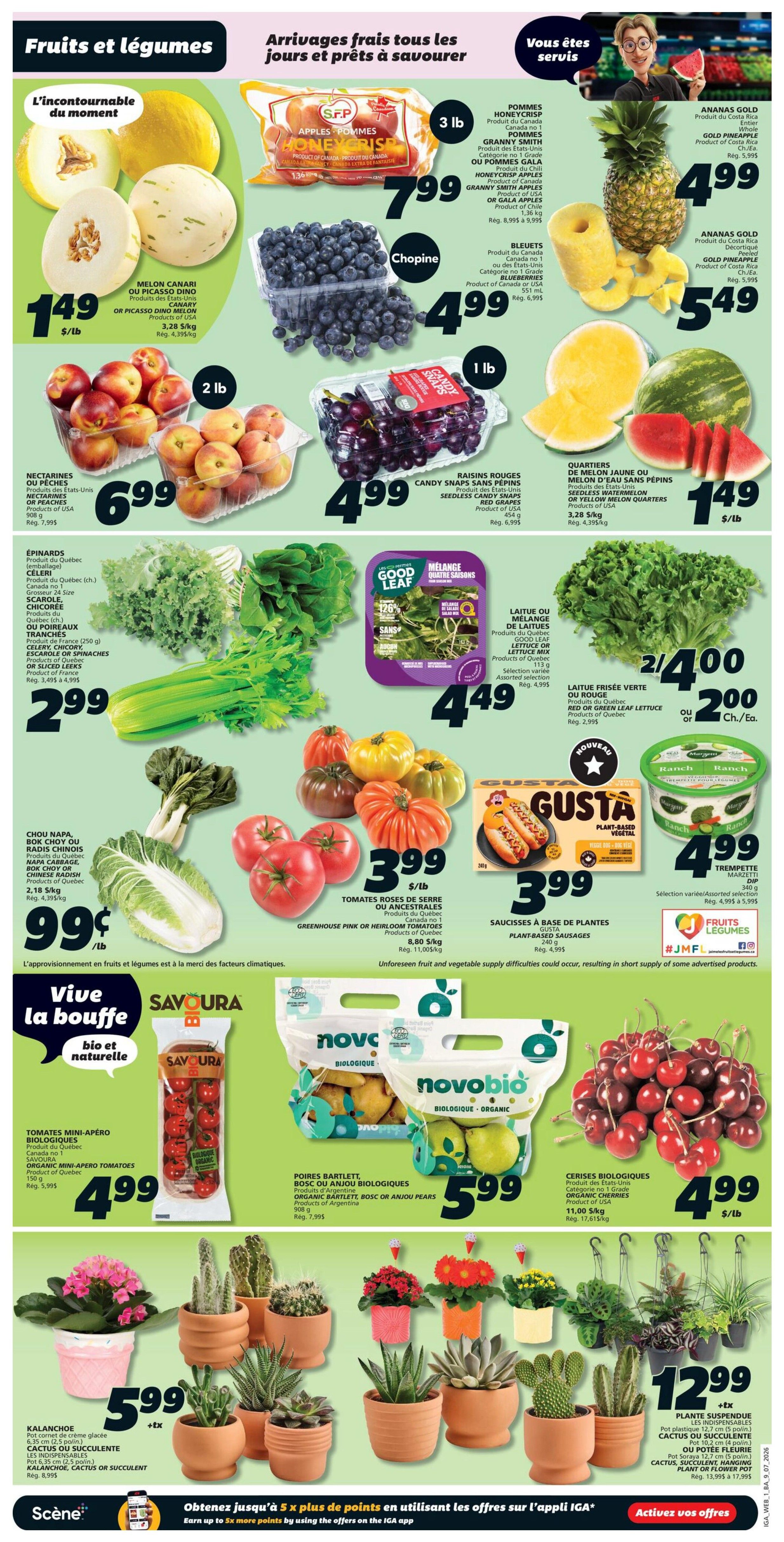IGA (NB) Flyer July 9 to 15
