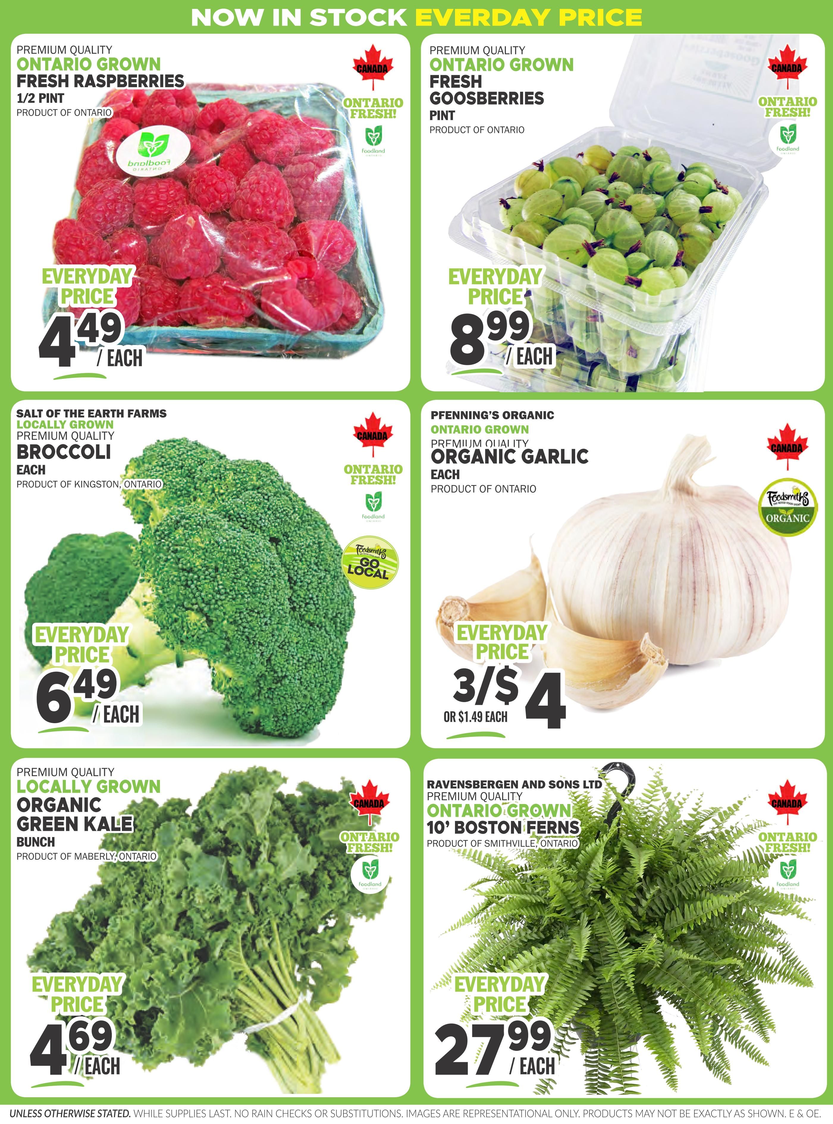 Foodsmiths Flyer July 9 to 16
