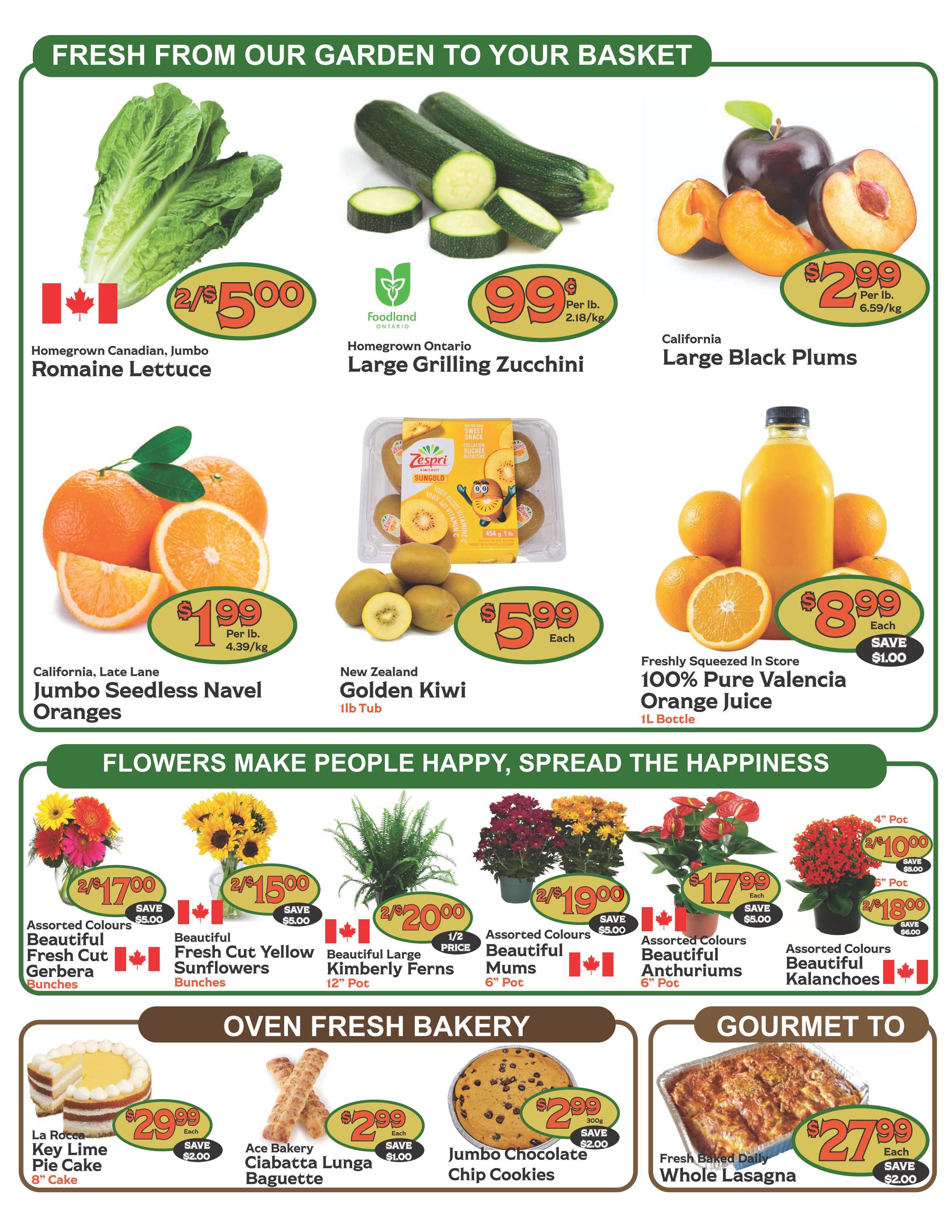 The Garden Basket Flyer July 9 to 15