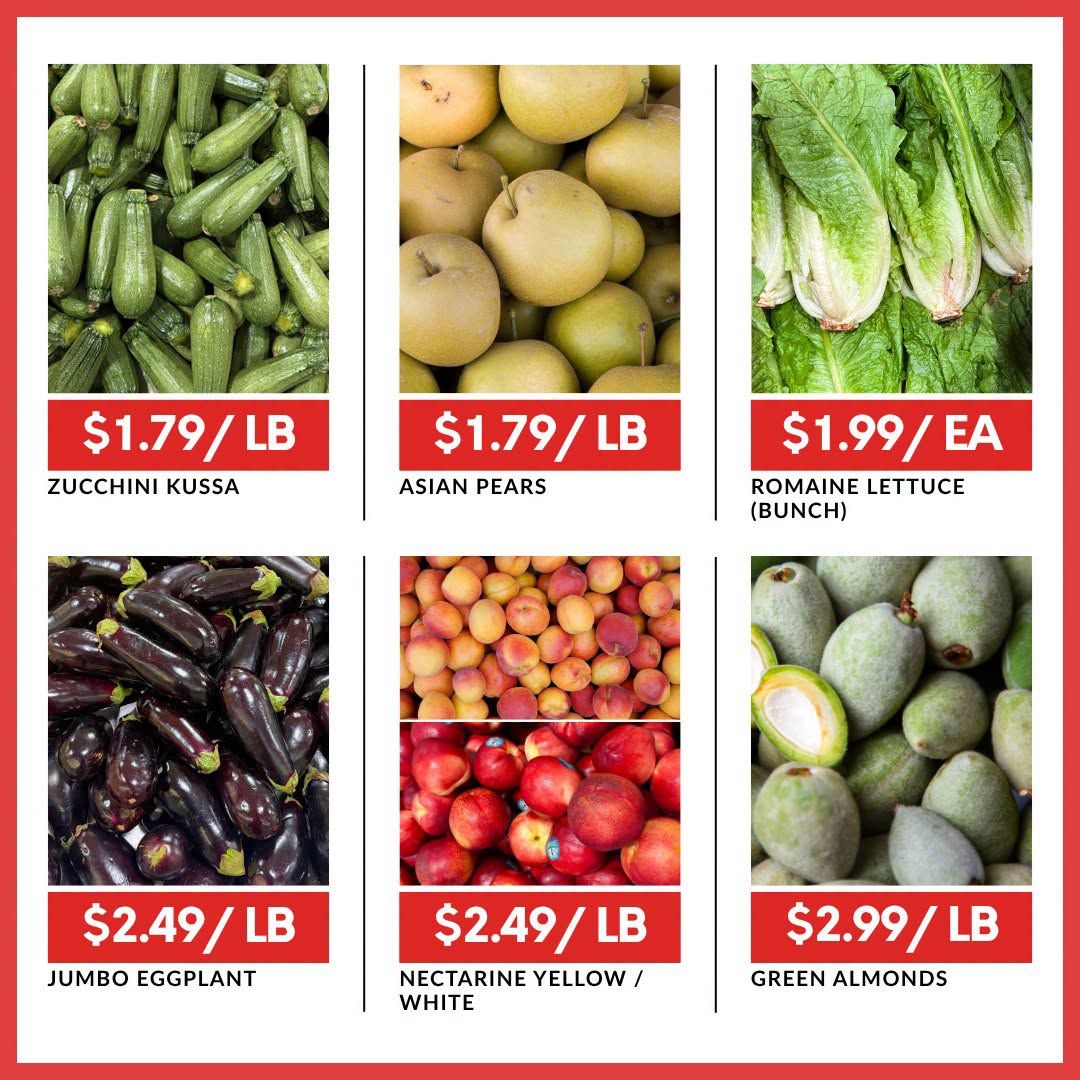 Basha Foods International Flyer July 9 to 15