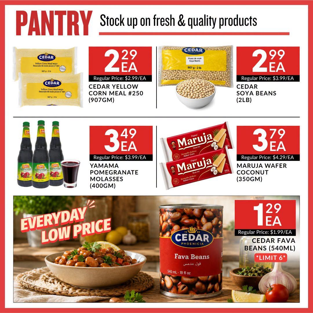 Basha Foods International Flyer July 9 to 15