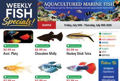 Big Al's (Barrie) Weekly Specials July 10 to 16