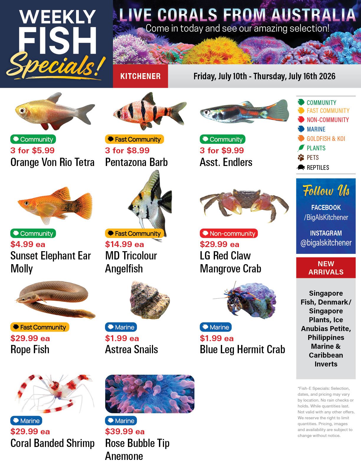 Big Al's (Kitchener) Weekly Specials July 10 to 16