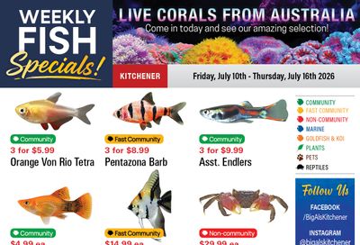Big Al's (Kitchener) Weekly Specials July 10 to 16