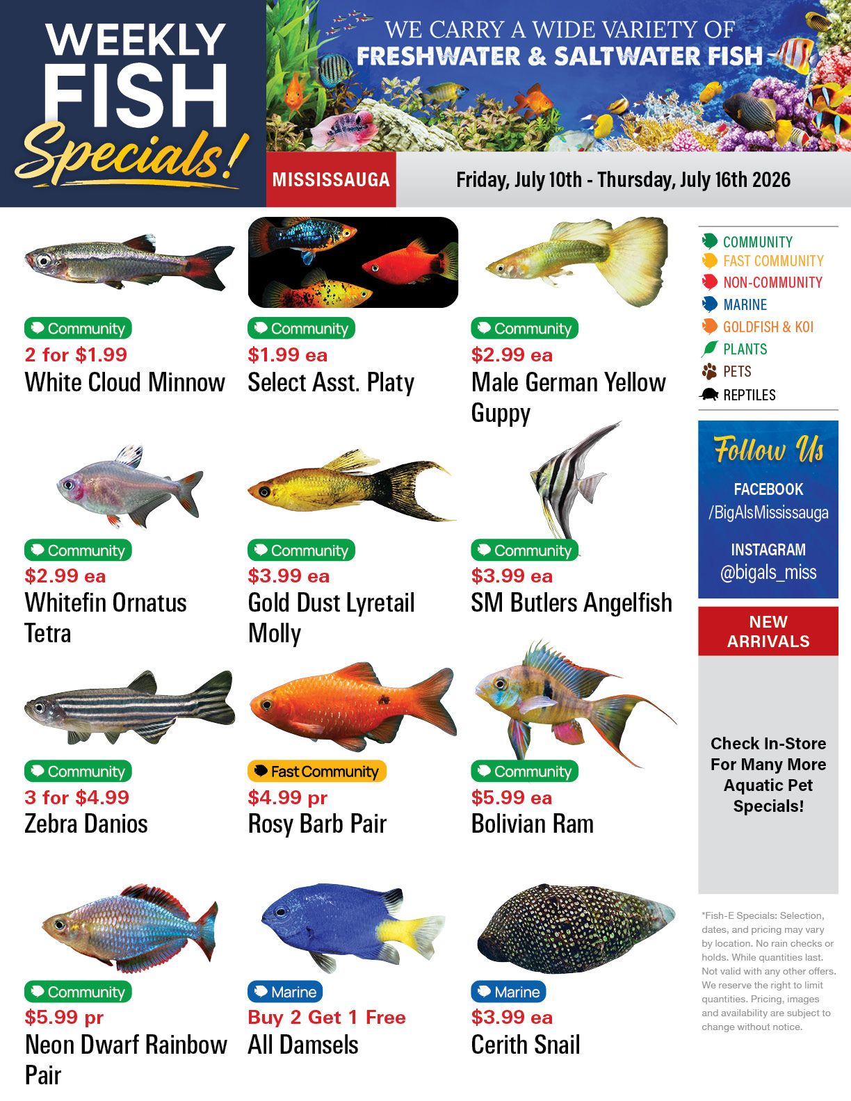 Big Al's (Mississauga) Weekly Specials July 10 to 16