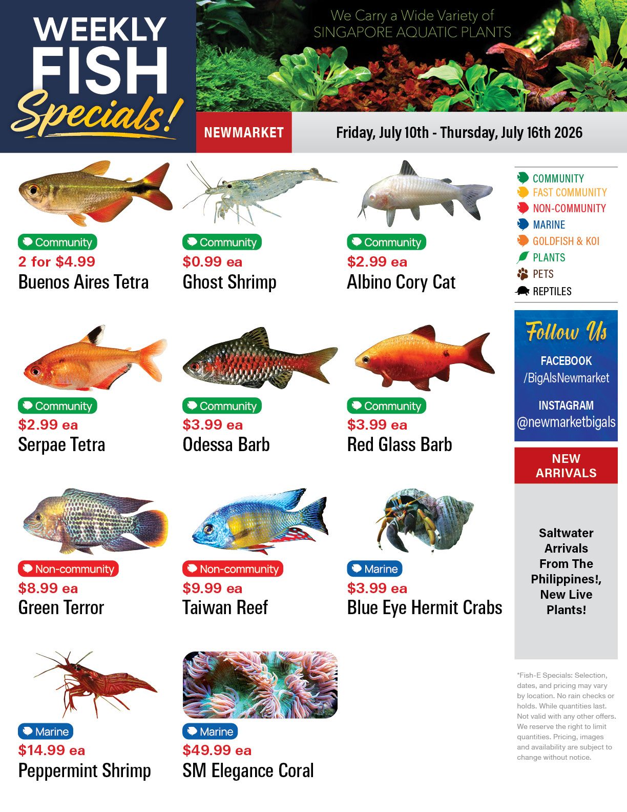 Big Al's (Newmarket) Weekly Specials July 10 to 16