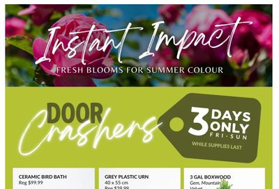Lakeside Garden Gallery Flyer July 10 to 16