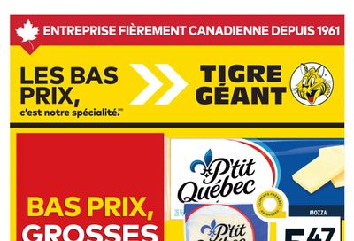 Tigre Géant Flyer July 15 to 21