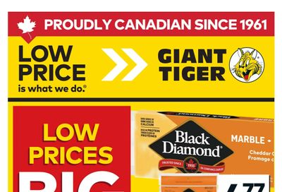 Giant Tiger (ON) Flyer July 15 to 21