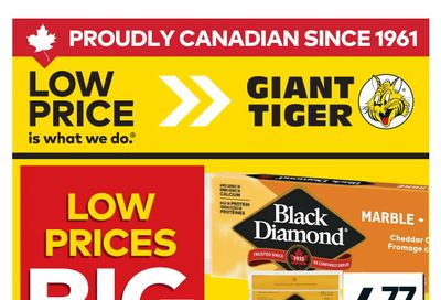 Giant Tiger (West) Flyer July 15 to 21