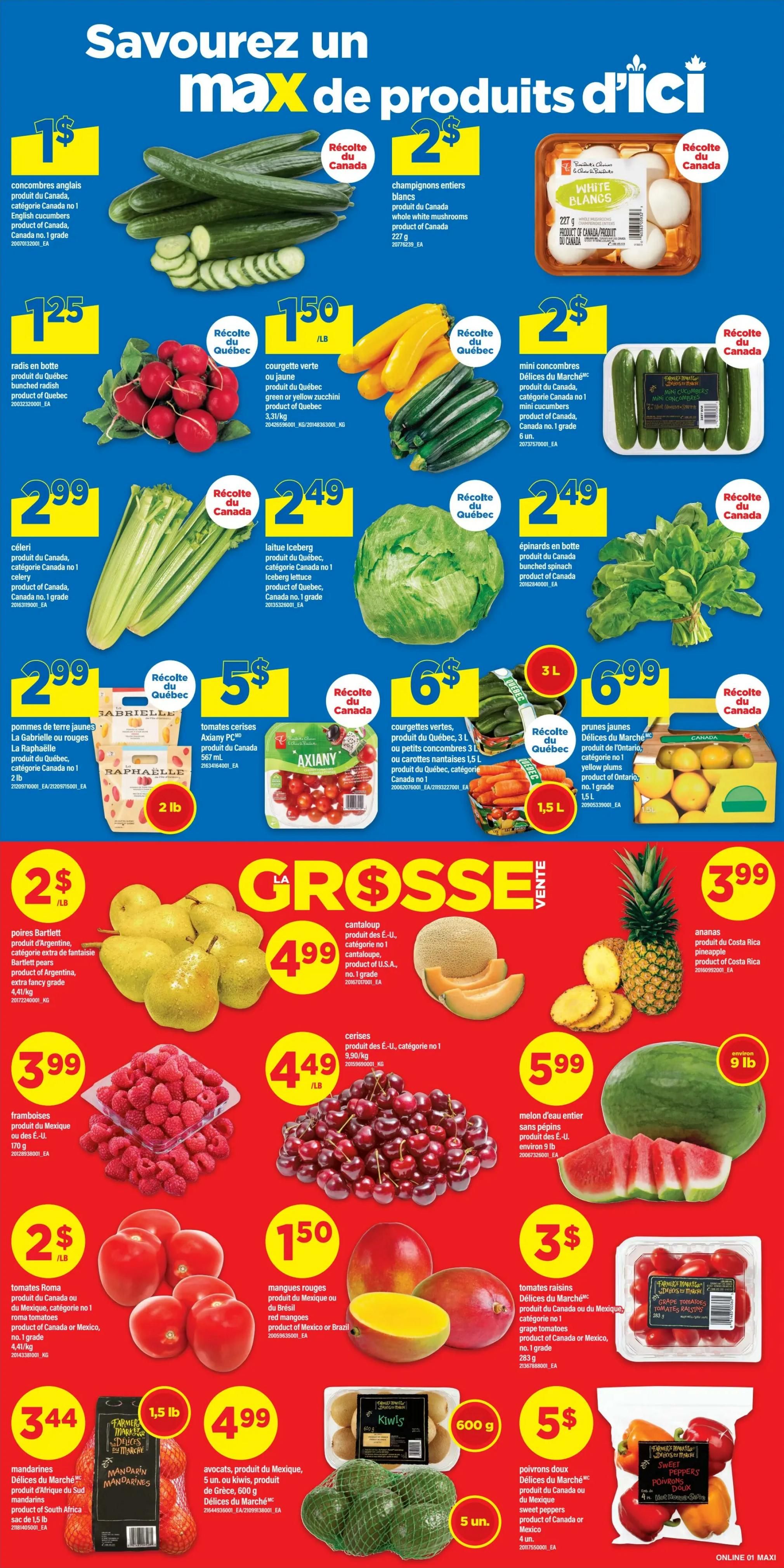 Maxi Flyer July 16 to 22