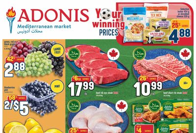 Adonis (ON) Flyer July 16 to 22