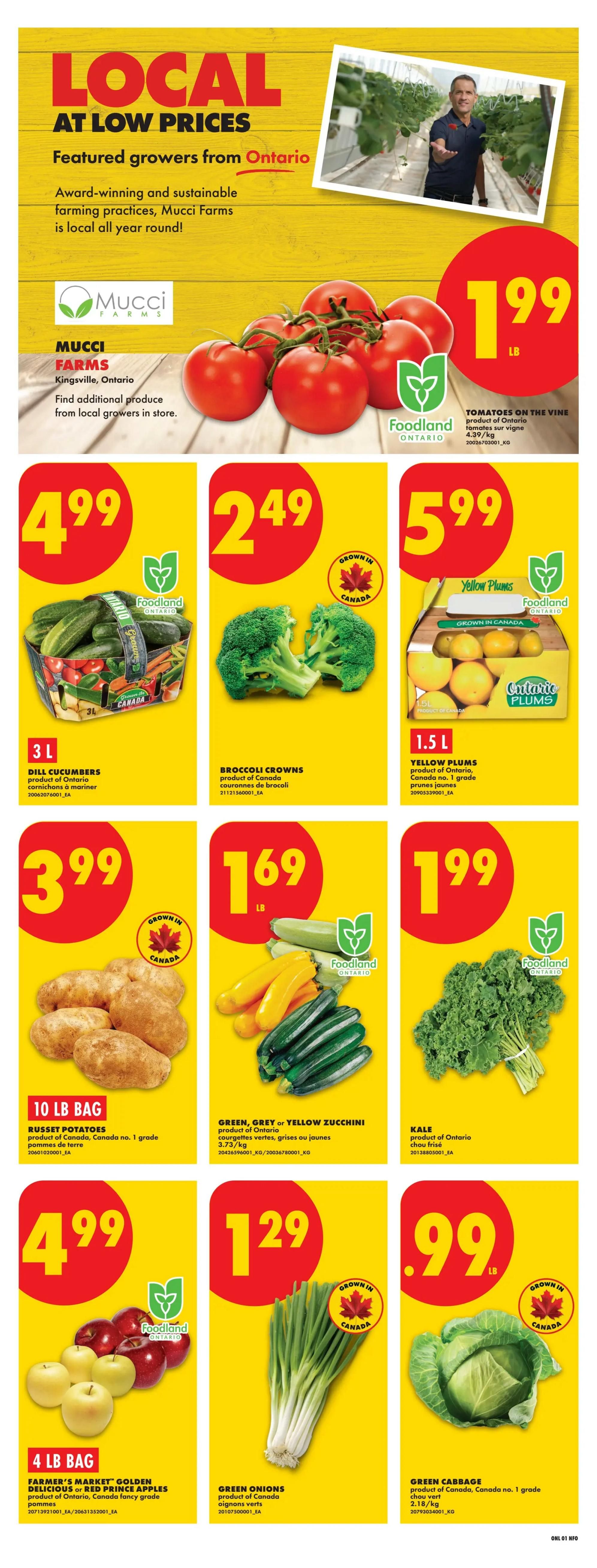 No Frills (ON) Flyer July 16 to 22