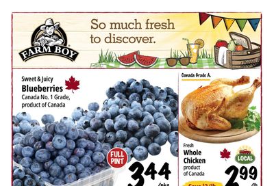 Farm Boy Flyer July 16 to 22