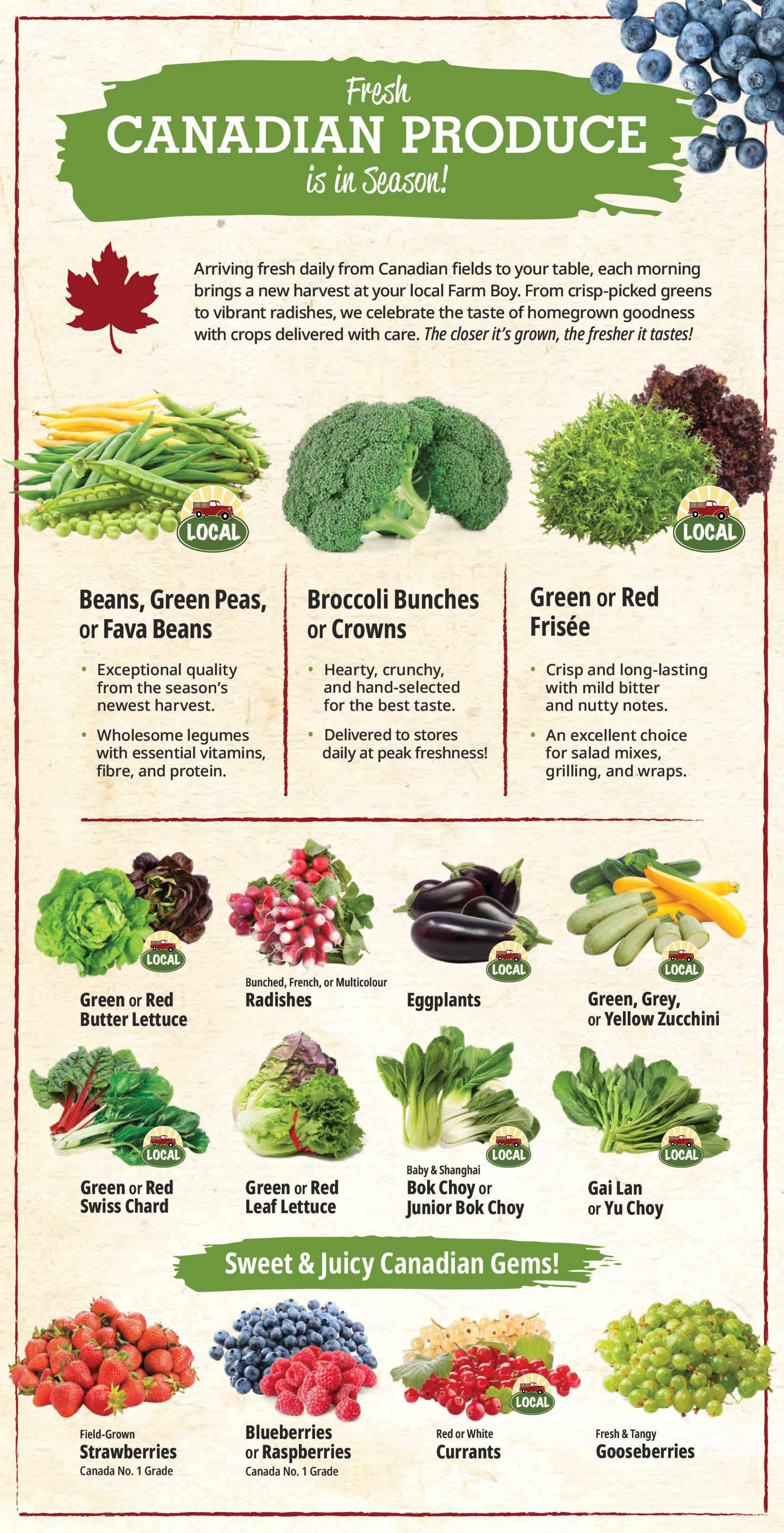 Farm Boy Flyer July 16 to 22