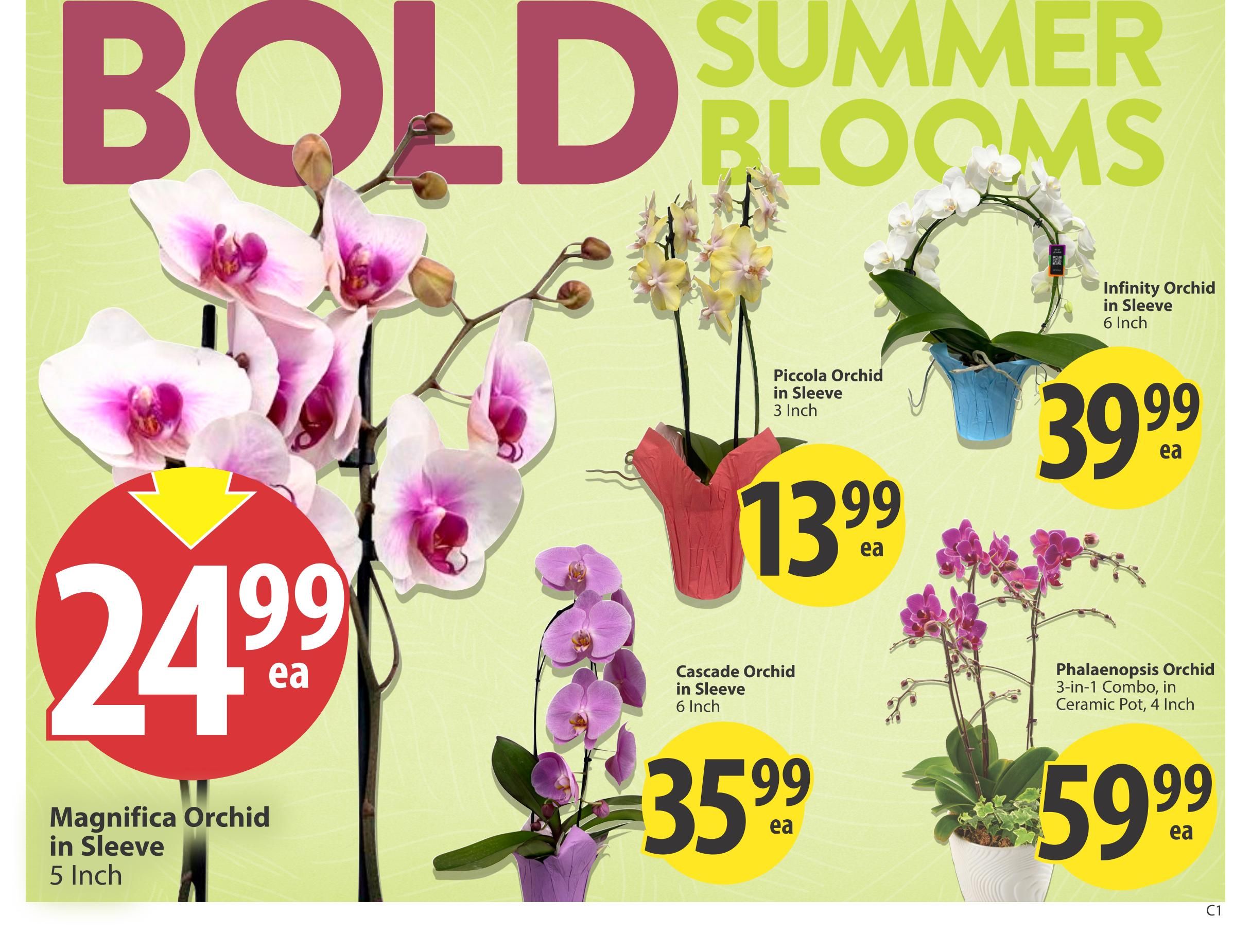 Save On Foods (SK) Flyer July 16 to 22