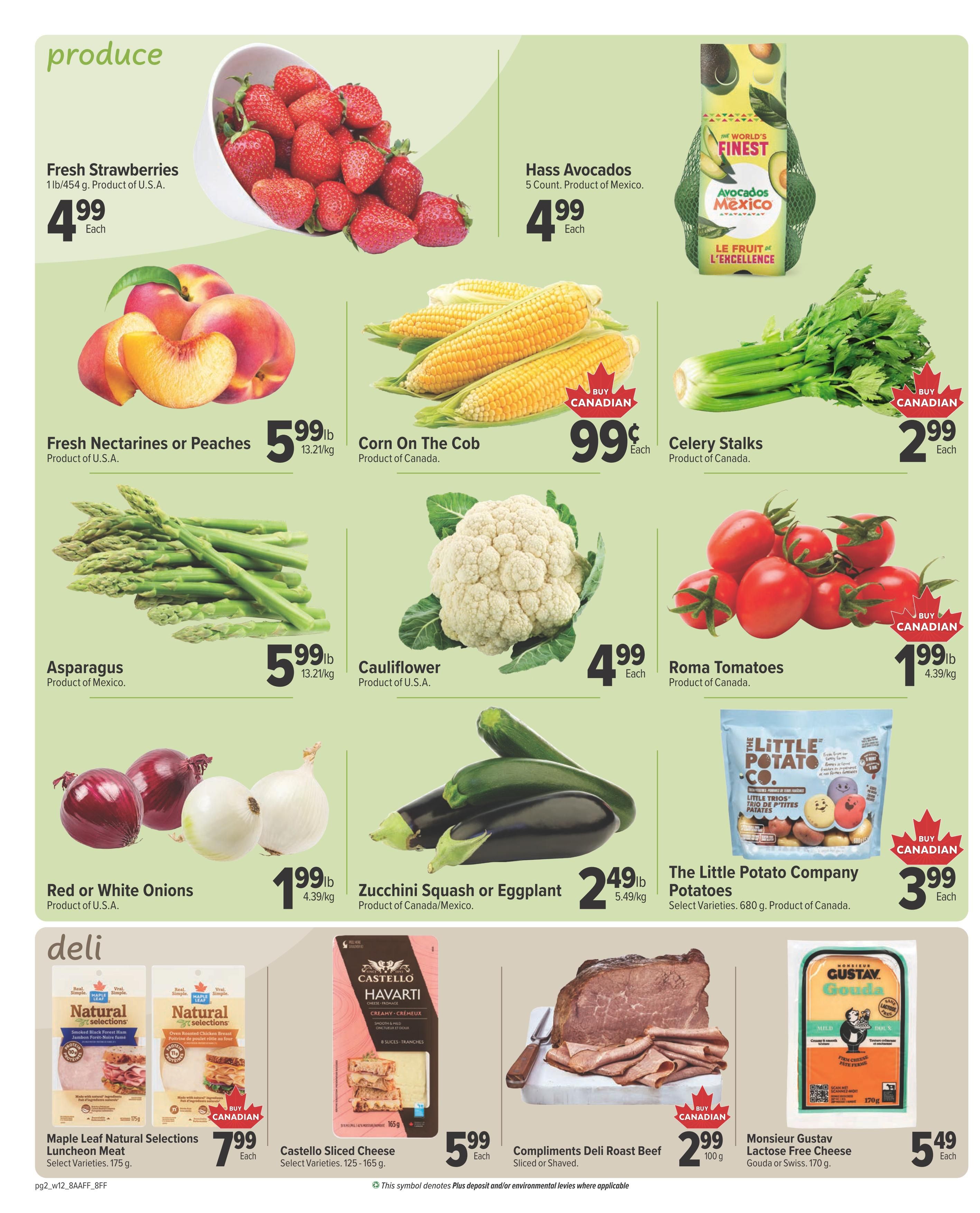 Family Foods Flyer July 16 to 22