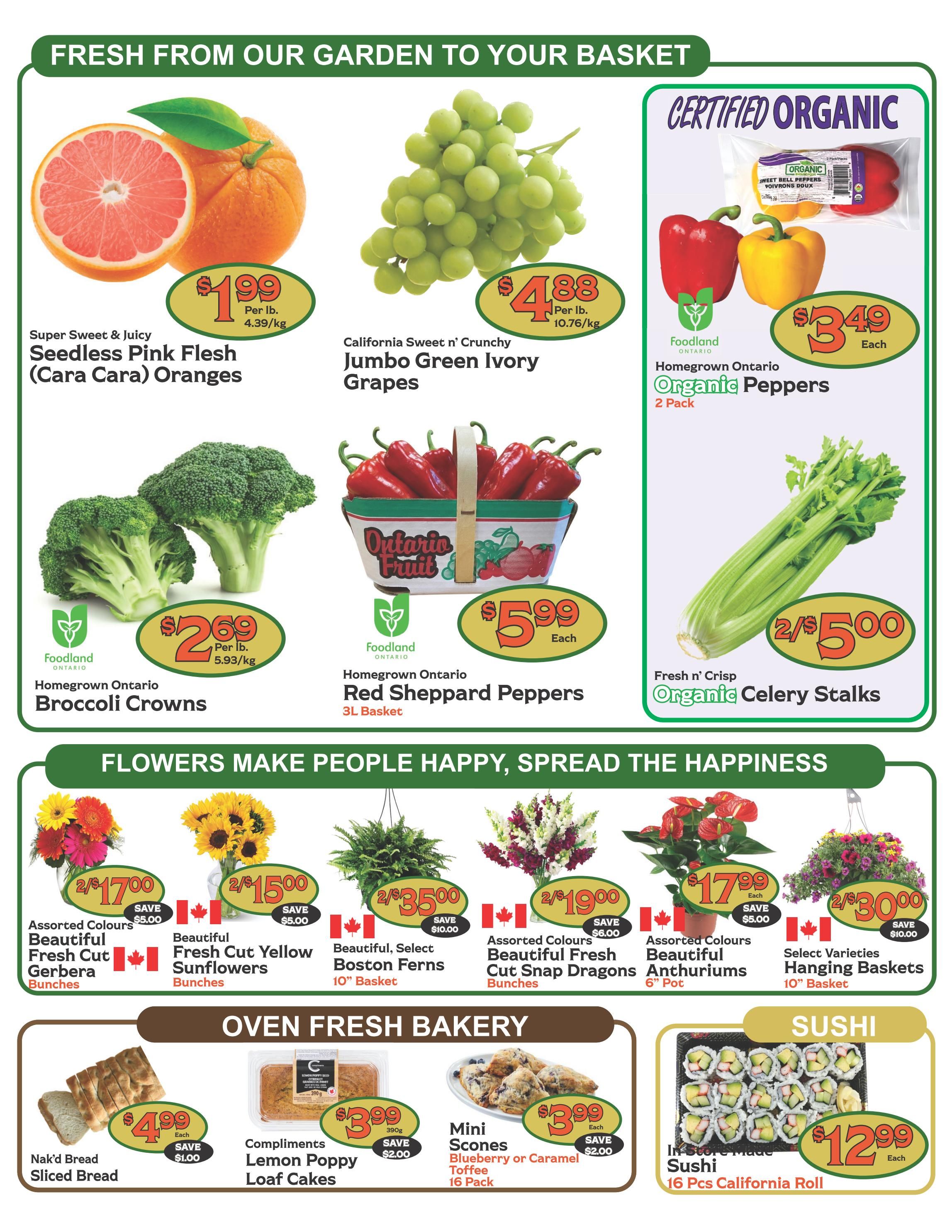 The Garden Basket Flyer July 16 to 22