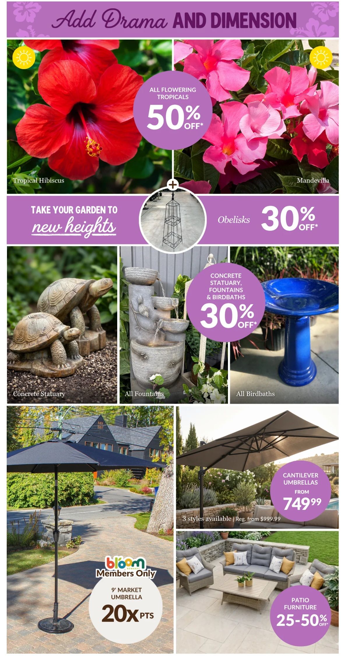 Lakeside Garden Gallery Flyer July 17 to 23