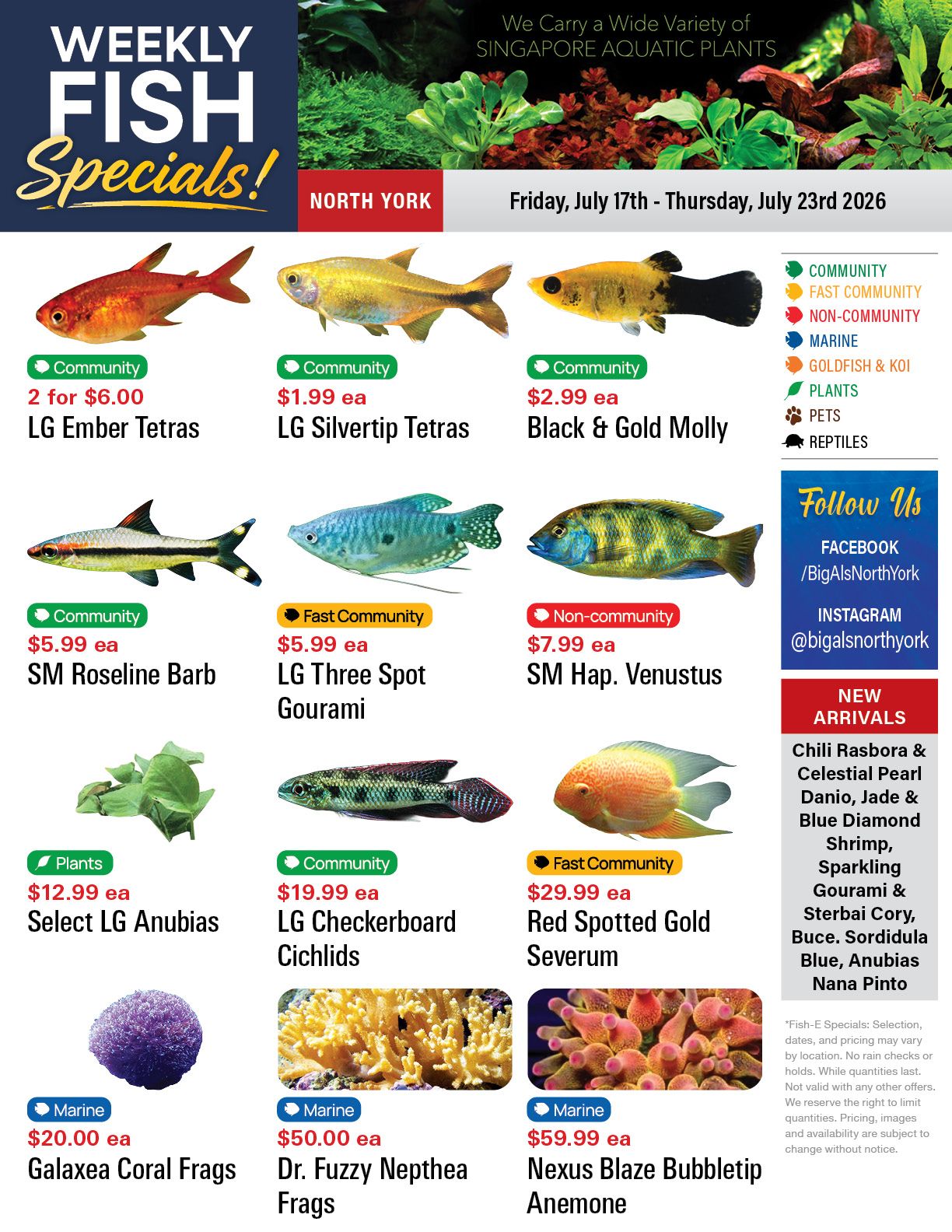 Big Al's (North York) Weekly Specials July 17 to 23