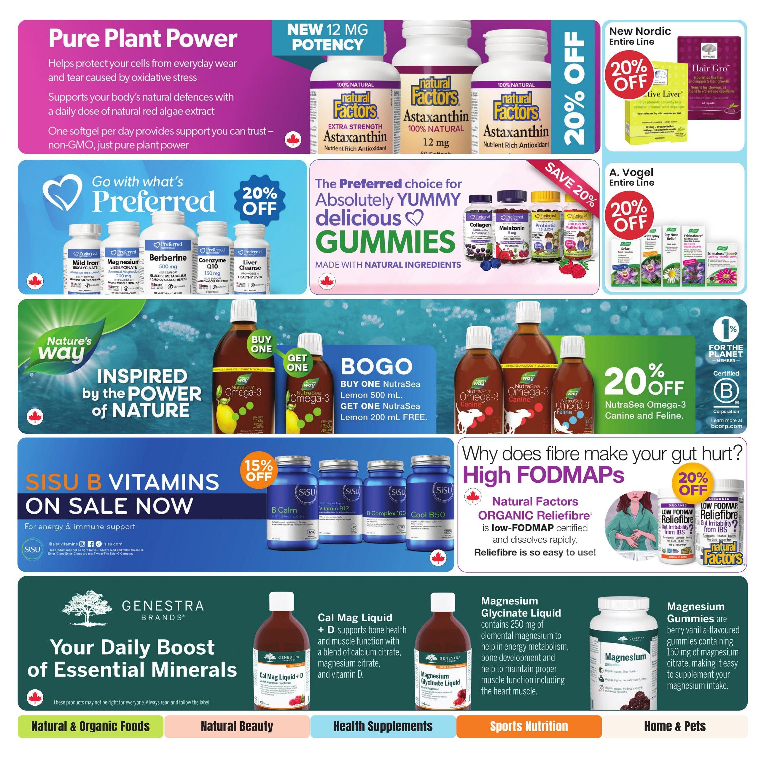 Healthy Planet Flyer July 23 to August 19