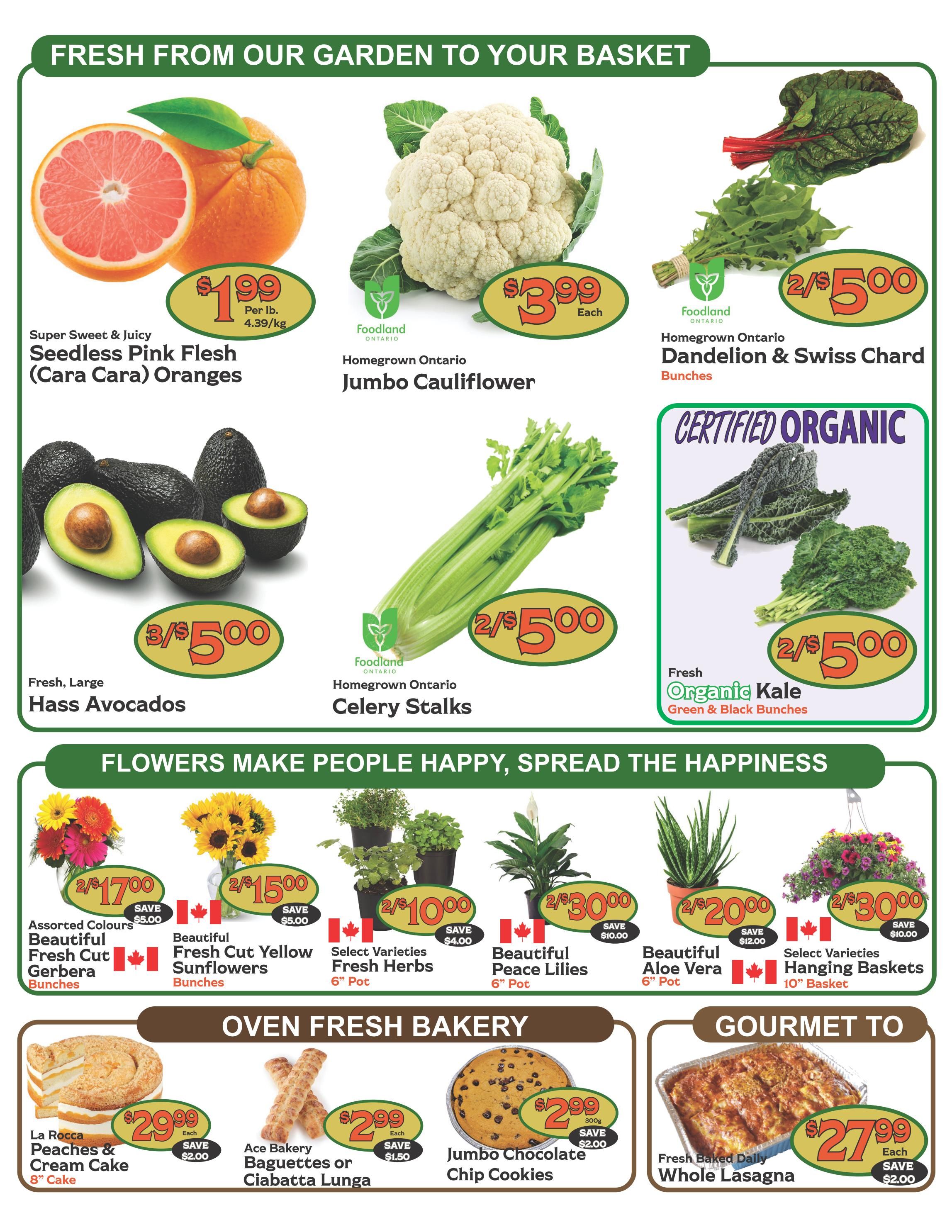 The Garden Basket Flyer July 23 to 29