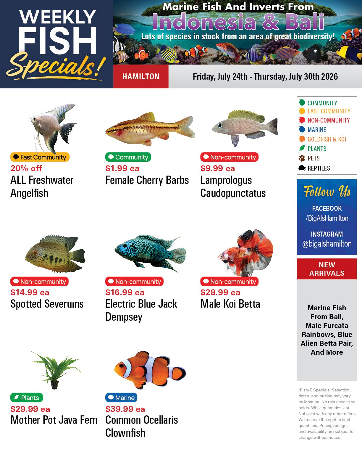 Big Al's (Hamilton) Weekly Specials July 24 to 30