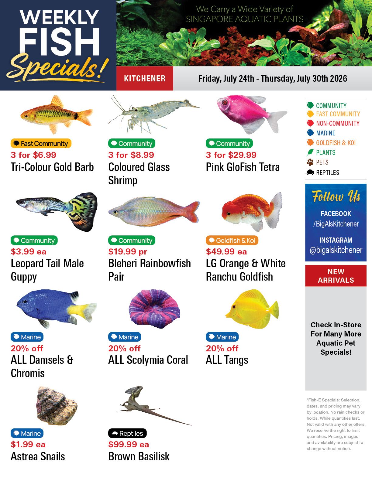 Big Al's (Kitchener) Weekly Specials July 24 to 30