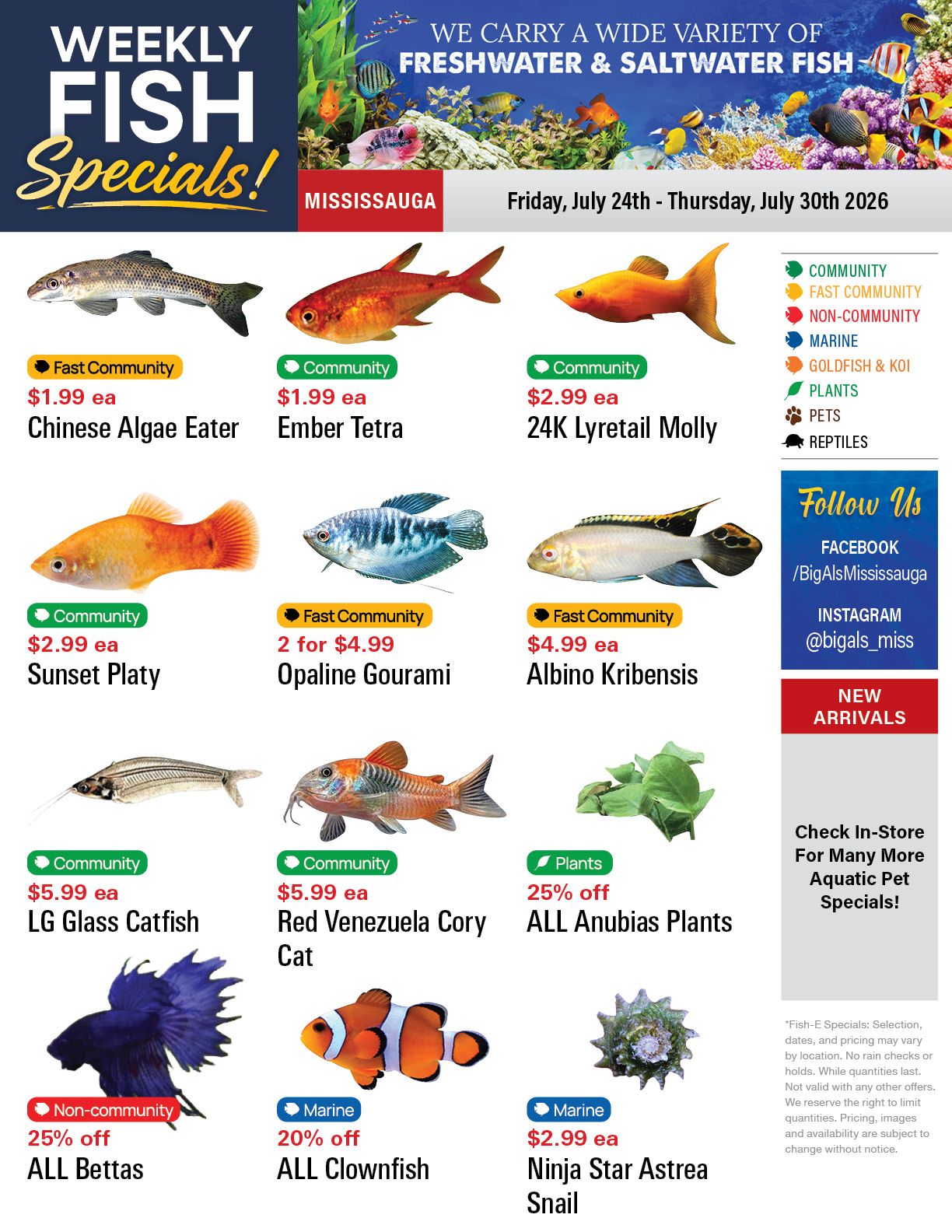 Big Al's (Mississauga) Weekly Specials July 24 to 30