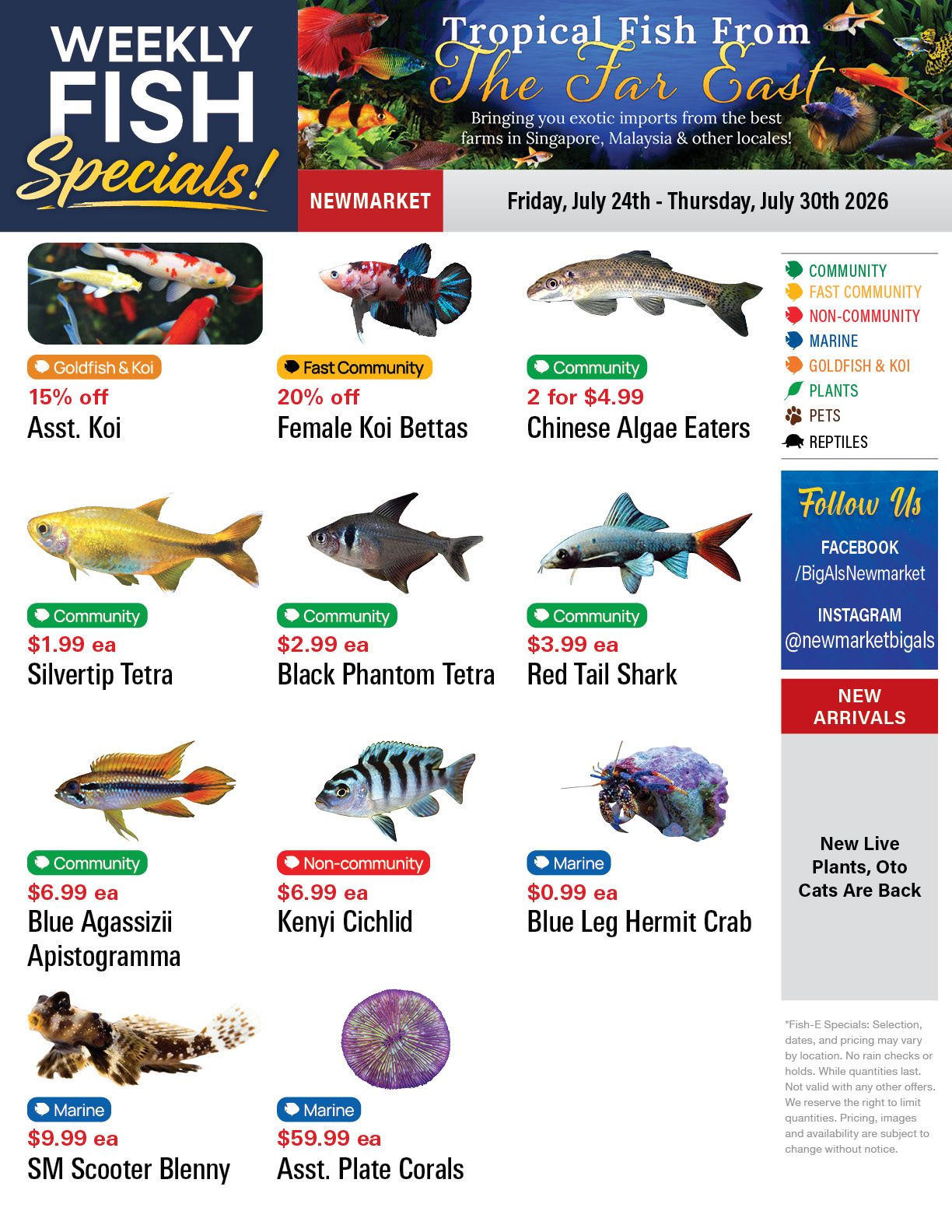 Big Al's (Newmarket) Weekly Specials July 24 to 30
