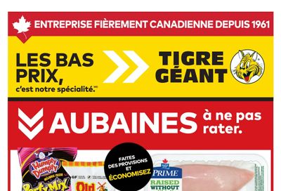Tigre Géant Flyer July 29 to August 4