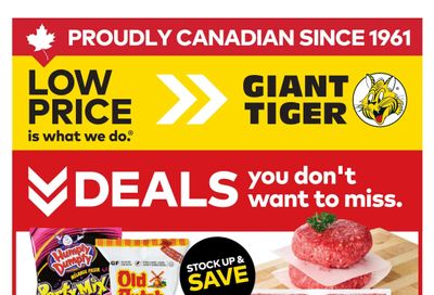 Giant Tiger (ON) Flyer July 29 to August 4