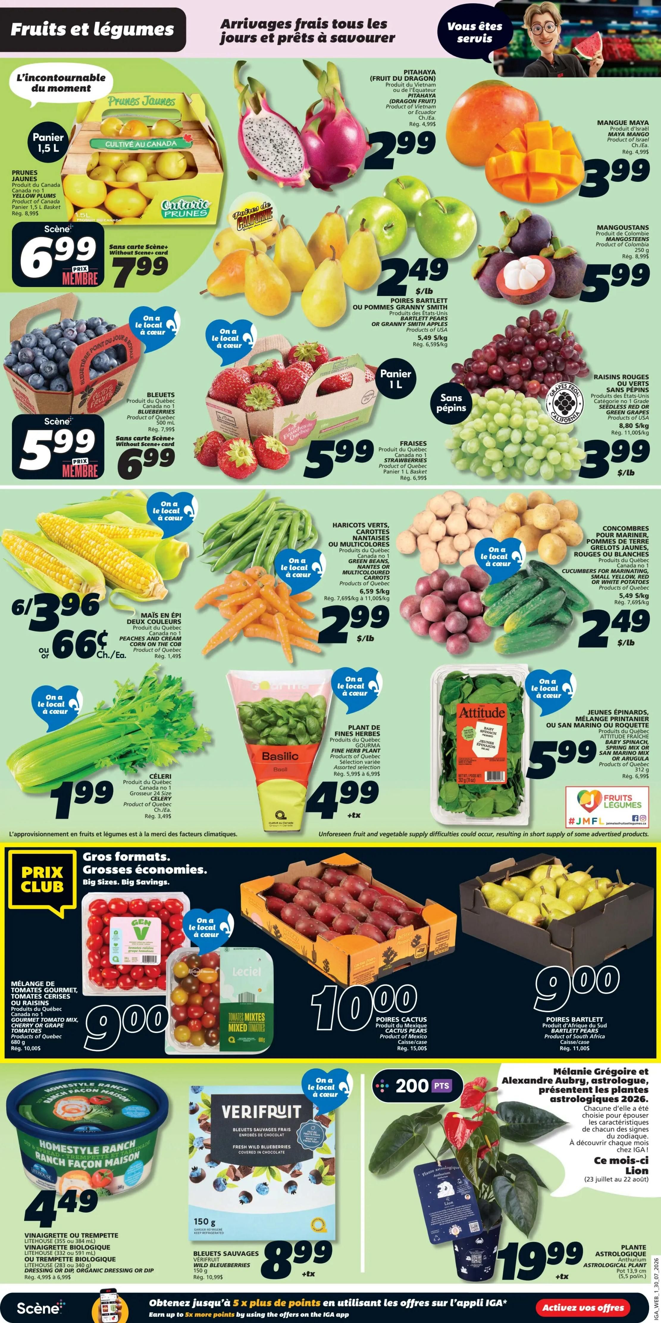 IGA (QC) Flyer July 30 to August 5