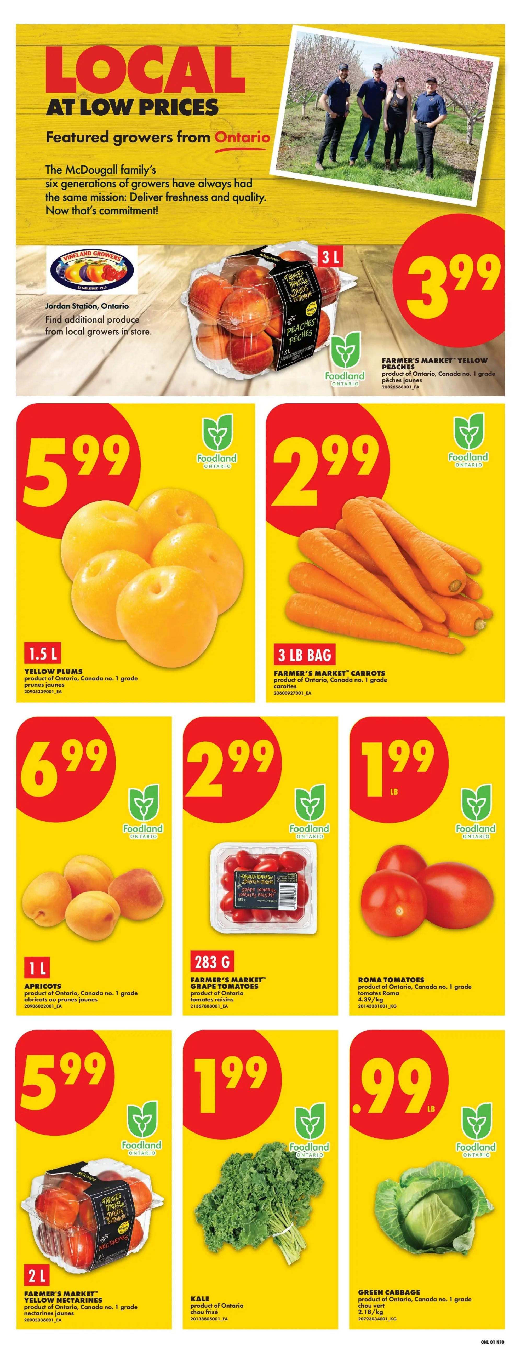 No Frills (ON) Flyer July 30 to August 5