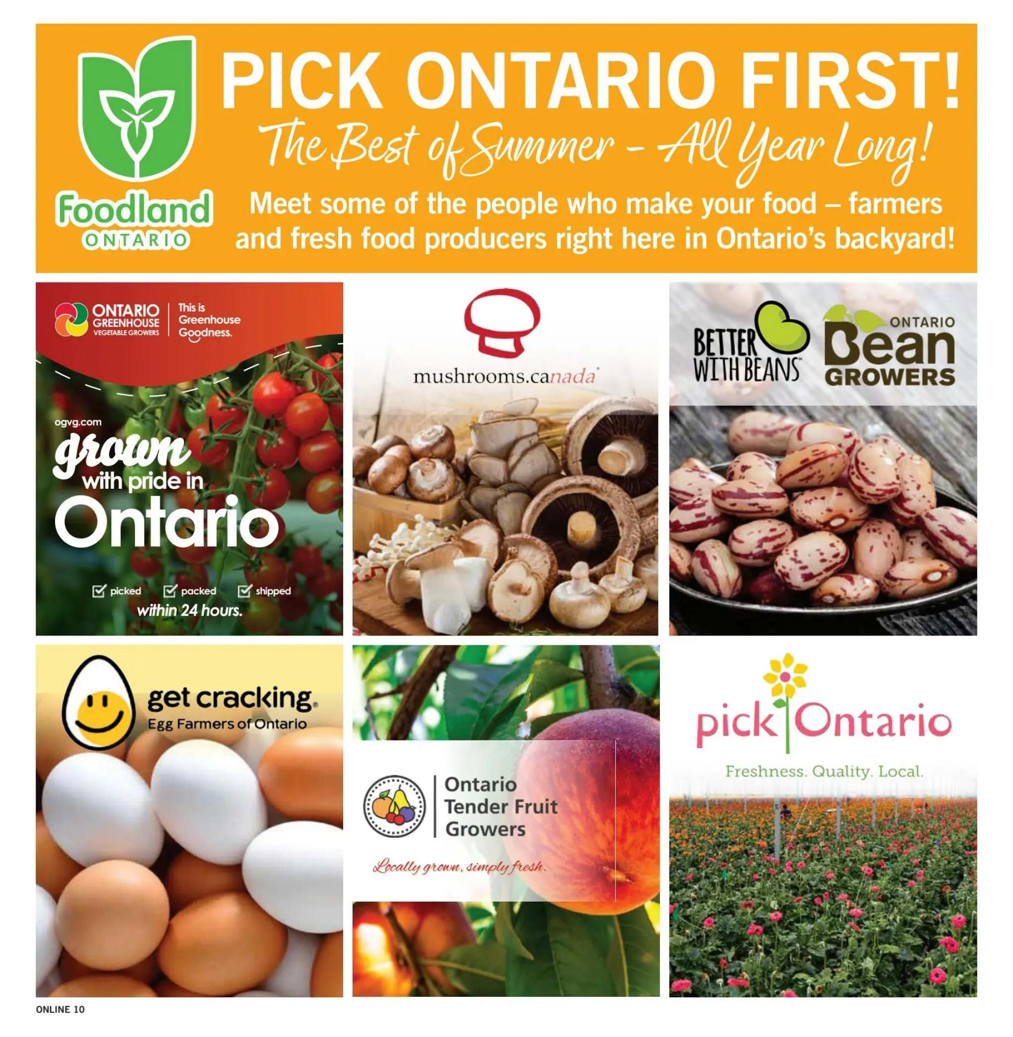 Fortinos Flyer July 30 to August 5