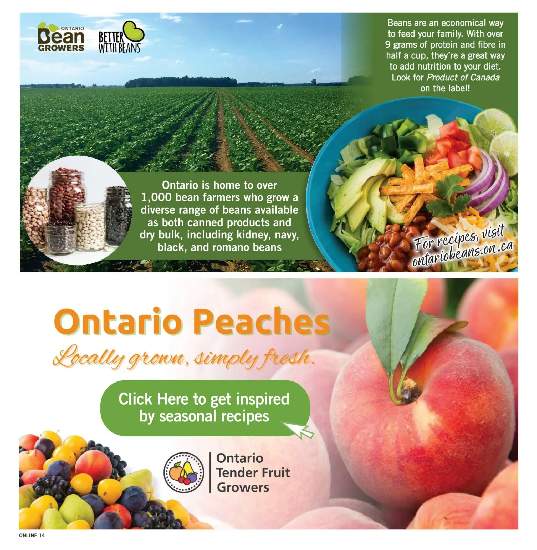 Fortinos Flyer July 30 to August 5